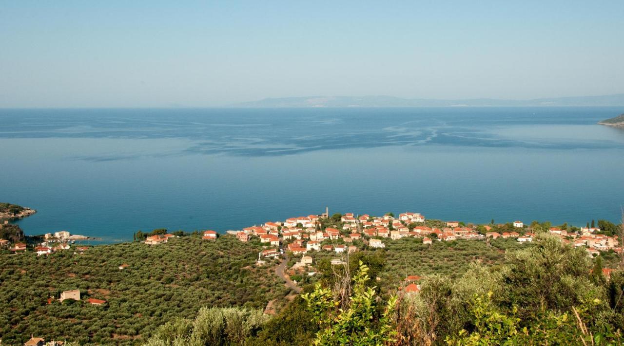 Pyrgos Fassea Kardamyli Villa Bagian luar foto